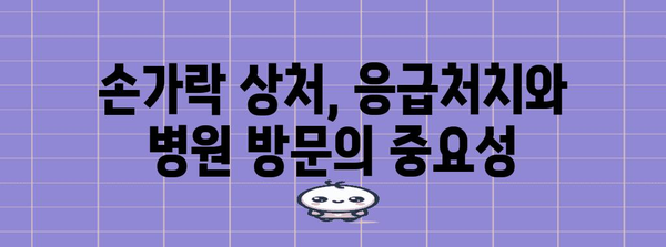손가락 심각한 상처 | 병원 방문이 필수적인 7가지 징후