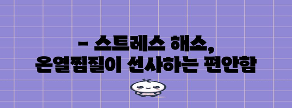 온열찜질기의 혁명적 효과 | 웰니스, 스트레스 해소, 삶의 질 향상