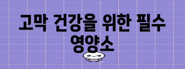 고막염 예방 3종 세트 | 건강한 청력을 위한 운동과 영양