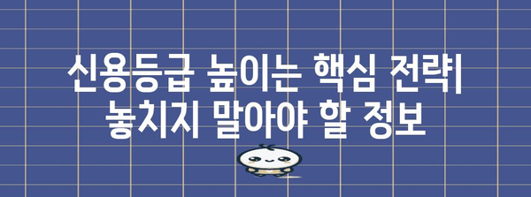 KCB 신용점수 향상 가이드 | 신용등급 점수표 활용법과 전략