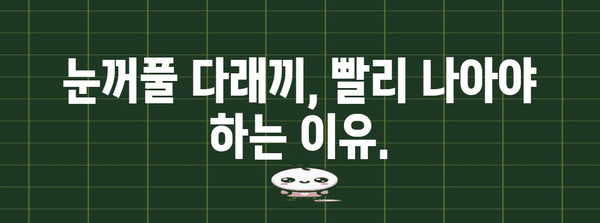 눈꺼풀 다래끼 | 놓치지 말아야 할 빨간 신호