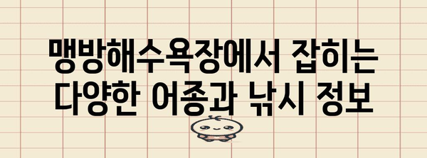 삼척 캠핑 낚시 가이드 | 맹방해수욕장 최고의 명소