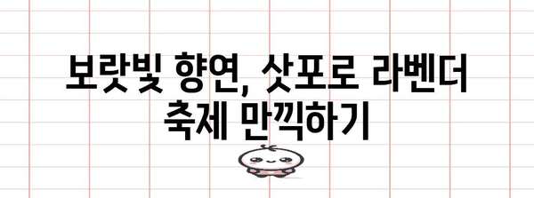 삿포로 라벤더 여행 가이드 | 만개 시기와 옷차림 팁