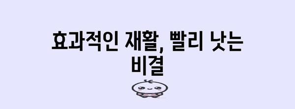 허리디스크 치료 길잡이 | 입원부터 재활까지 병원별 선택 전략
