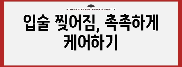 입술 찢어짐의 원인과 예방 | 자가 관리 팁