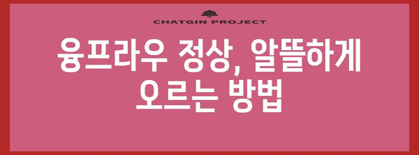 스위스 알프스 융프라우 저렴하게 즐기는 꿀팁