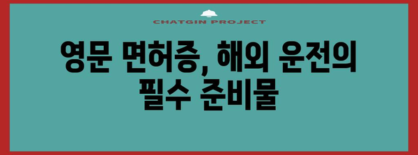 영문 운전 면허증 신청 완벽 가이드, 해외 운전 준비하기