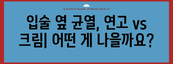 입술 옆 균열 치료제 | 연고와 크림 비교