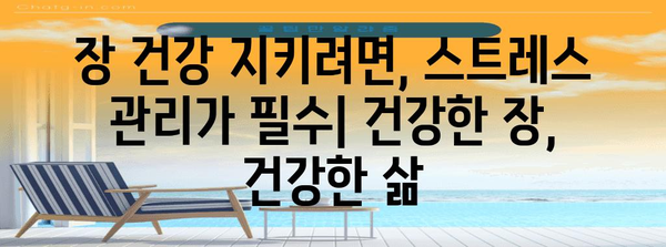 스트레스성 설사와 배아픔의 심각성 | 장내 건강 악화 원인