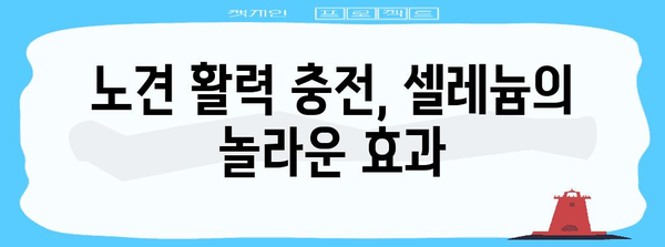 노년견의 건강 비결 | 셀레늄의 힘
