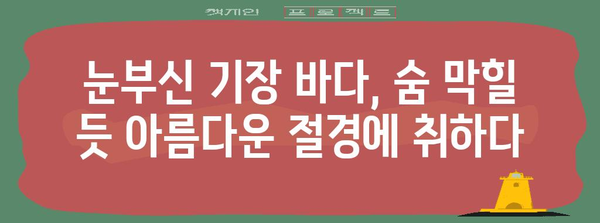 부산 기장의 해변 휴식 가이드 | 절경, 숙박, 활동 소개