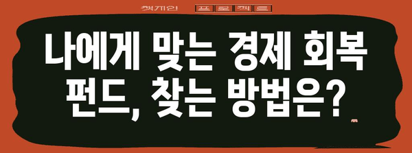 경제 회복 펀드 선택 가이드 | 효율과 영향 분석