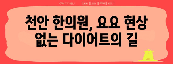 요요 현상 차단 | 천안 한의원 맞춤 과정의 비밀
