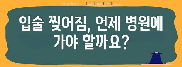 입술 찢어짐의 원인과 예방 | 자가 관리 팁