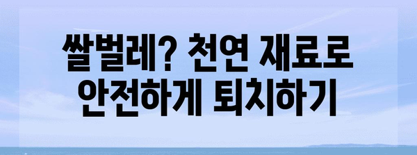 쌀벌레 생기지 않게 하는 방법 | 예방 및 퇴치 솔루션