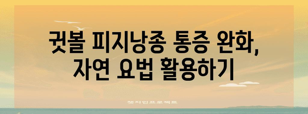 귓볼 피지낭종 통증 자연적으로 해결하는 방법