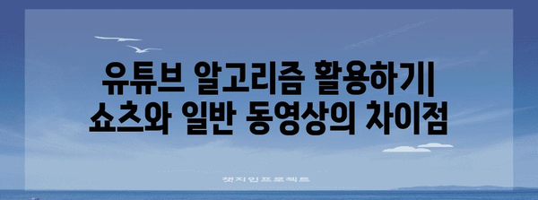 수익성 극대화 | 쇼츠와 일반 동영상의 유튜브 통찰력 가이드