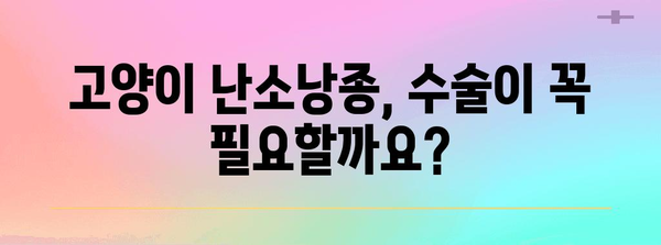 고양이 난소낭종 수술의 모든 것