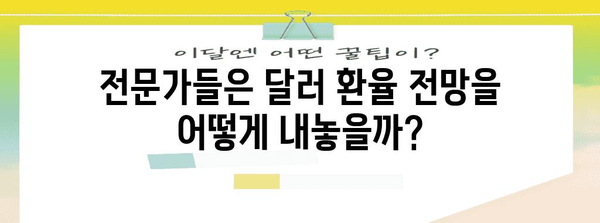 달러 환율 상승 | 요인과 전망