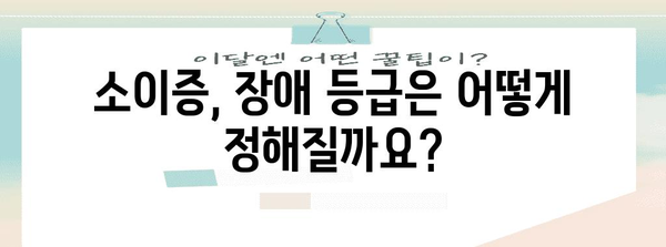 소이증 장애 등급과 미적 목적 수술 차이점