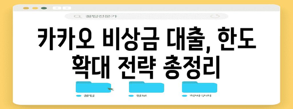 카카오 비상금 대출 한도 확대 전략 | 맞춤형 대출 찾기