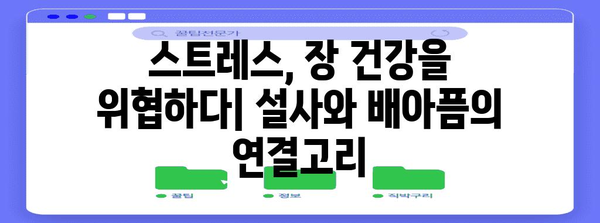 스트레스성 설사와 배아픔의 심각성 | 장내 건강 악화 원인