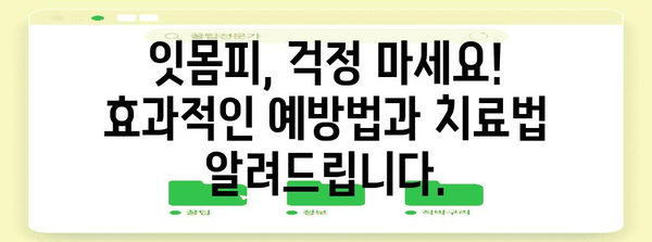 잇몸피 염증 OUT! 과학적 해결법과 예방법