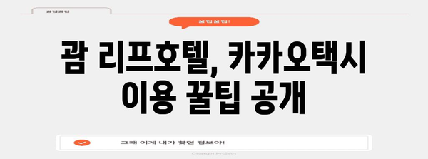 괌 리프호텔 편하게 가기 | 카카오택시 이용 가이드