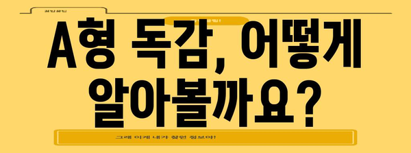 A형 독감 증상 순서와 자가격리 방법