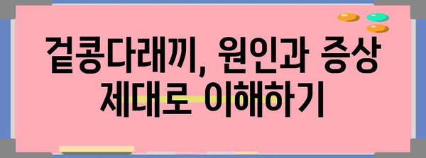 다양한 여드름 증상 이해하기 | 안면의 다래끼에서 겉콩다래끼까지