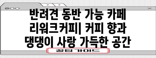 부평 반려견 카페 | 리워크커피에서 커피와 산책을 함께