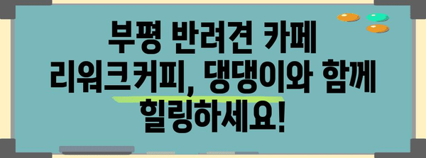 부평 반려견 카페 | 리워크커피에서 커피와 산책을 함께