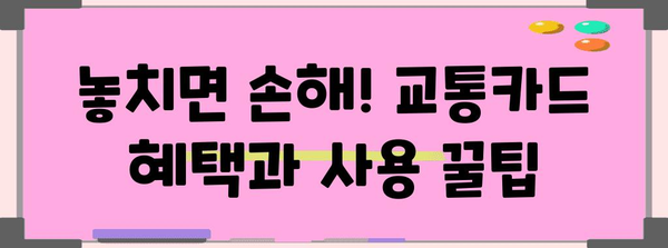 내일배움카드 교통카드 완벽 신청 가이드 | 주의 사항 파악하기