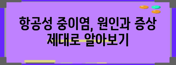 항공성 중이염에 효과적인 귀마개 리뷰와 원인 분석