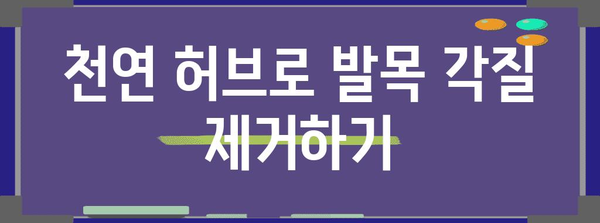 발목 각질 관리 가이드 | 천연 허브와 효과적인 요기 팁