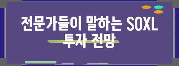SOXL 투자의 타당성 분석과 시장 전망