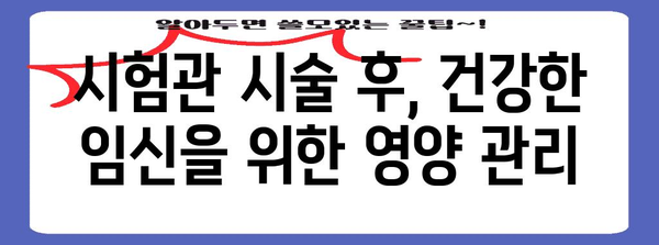 시험관 시술 전후 영양 관리로 성공률 높이기