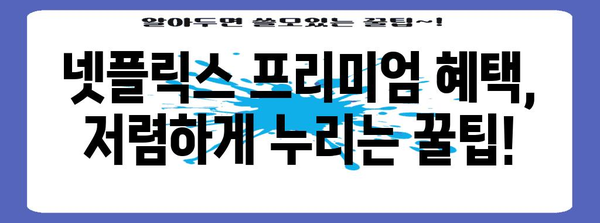 넷플릭스 요금제 공유 비결 | 프리미엄 혜택 저렴하게 누리기