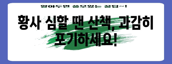 황사 속 안전한 강아지 산책 가이드 | 5가지 주의 사항