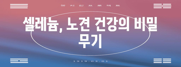 노년견의 건강 비결 | 셀레늄의 힘
