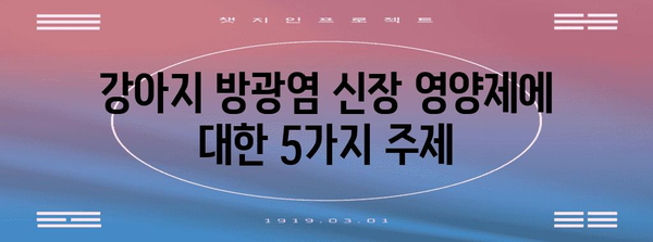강아지 방광염 신장 영양제 | 선택 가이드와 예방법