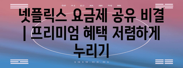 넷플릭스 요금제 공유 비결 | 프리미엄 혜택 저렴하게 누리기