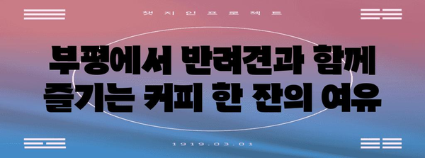 부평 반려견 카페 | 리워크커피에서 커피와 산책을 함께
