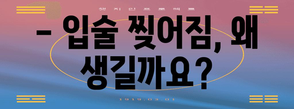 입술 찢어짐 원인 파헤치기 | 예방과 치유 팁