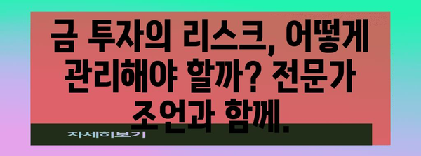 금투자의 현명한 선택 | 리스크 대비한 투자 방식 탐구