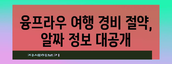 스위스 알프스 융프라우 저렴하게 즐기는 꿀팁