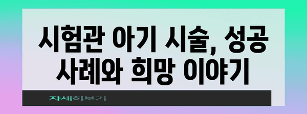 시험관 아기 시술 가이드 | 성공 가능성 높이기