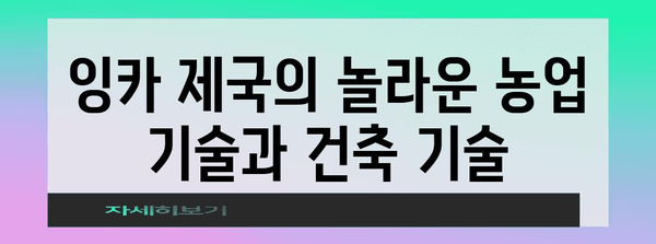 잉카 문명의 흥미진진한 역사| 번영과 몰락의 이야기 | 남미, 고대 문명, 페루, 마추픽추