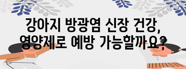 강아지 방광염 신장 영양제 | 선택 가이드와 예방법