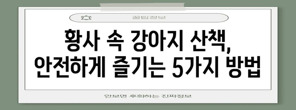 황사 속 안전한 강아지 산책 가이드 | 5가지 주의 사항
